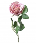 Seidenrosen "Madame" gefüllt mehrtonrosa Ø7cm 6Stk