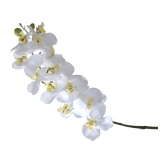 Orchideenzweig weiß 58cm 1Stk