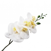 Orchideenzweig weiß 83cm 1Stk